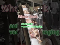 ماشین بسته بندی غذاهای منجمد گوشت فولاد ضد زنگ درجه غذایی 304/316 بسته بندی حفظ خلاء